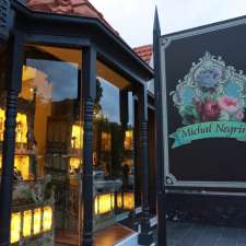 Michal Negrin | 10 Transvaal Ave, Double Bay NSW 2028, Australia