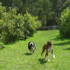Dogdayz Country Club - Toolern Vale | 1395 Holden Rd, Toolern Vale VIC 3337, Australia