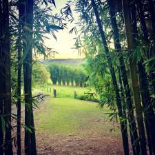 Benwerrin Bamboo Nursery | Kendall NSW 2439, Australia