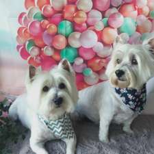 Fantasy Paws Pet Salon | 30 Coleford Rd, Wellard WA 6170, Australia