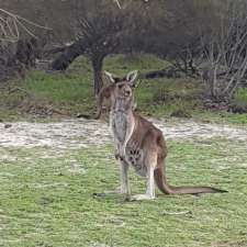 Western Flora Caravan Park | Arrowsmith WA 6525, Australia