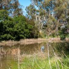 Banksia Street Wetland | 15 Banksia St, O'Connor ACT 2602, Australia
