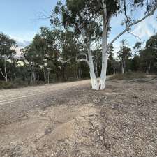 Lidsdale State Forest | Establishment | Great Western Hwy, Wallerawang NSW 2845, Australia