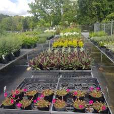 Palmdale Nursery | 36 Bridge St, Ourimbah NSW 2258, Australia