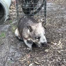 Australian Wildlife Park Albany | Torndirrup WA 6330, Australia