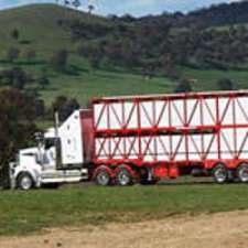 Betts Transport Pty Ltd | Darjeeling Rd, Walcha NSW 2354, Australia