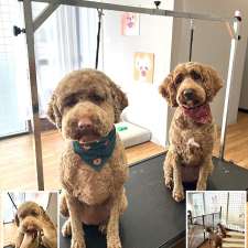 Cozy Pet Grooming Studio | Shop 6/1401 Point Nepean Rd, Rosebud VIC 3939, Australia