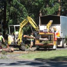 Jeff Pearce Tree Services | 24 Caleyi Cres, Tuncurry NSW 2428, Australia