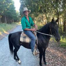 TMB Horsemanship | Springdale Rd, Nundubbermere QLD 4380, Australia