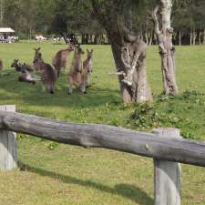 Murramarang National Park | East Lynne NSW 2536, Australia