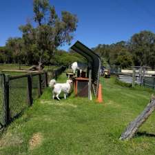 SAFE Perth - Saving Perth Animals from Euthanasia | 1640 Neaves Rd, Bullsbrook WA 6084, Australia