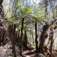 Box Vale Walking Track | Box Vale Walking Track, Woodlands NSW 2575, Australia