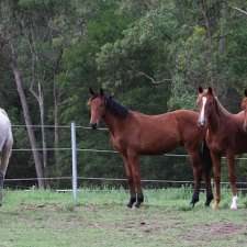 International Animal Health Products | 18 Healey Circuit, Huntingwood NSW 2148, Australia
