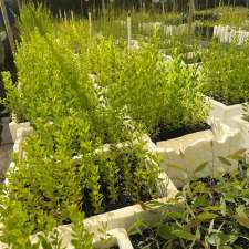 Goulburn Valley Tree Group | Establishment | 6 Kerferd St, Tatura VIC 3616, Australia