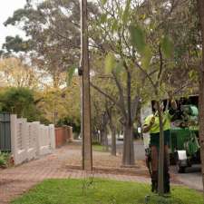 Arbortech Tree Services | 37a Samuel St, Smithfield SA 5114, Australia