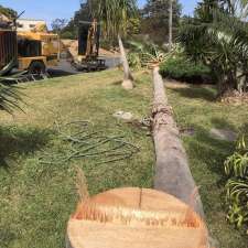 Dan’s Tree Service | 4 Binalong Way, Macksville NSW 2447, Australia