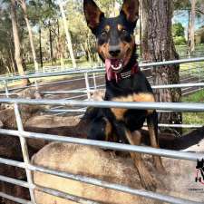 Hooked on Hounds | 1, East Kurrajong NSW 2758, Australia