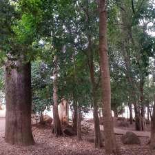 Tamborine Mountain State School - Curtis Road, Tamborine Mountain QLD ...