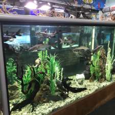 Aquarium World | 3 Pittwater Rd, Manly NSW 2095, Australia