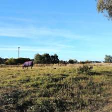 Richmond Tafe Equine Unit | Ceremonial Dr, Richmond NSW 2753, Australia