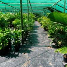 Wulguru Indoor Plant Hire | Dawson St, Stuart QLD 4811, Australia