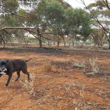 Kalgoorlie Arboretum | West Lamington WA 6430, Australia