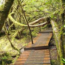 Creepy Crawly Trail | Scotts Peak Dam Rd, Southwest TAS 7139, Australia