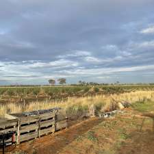Tatura Farms | Establishment | 1660 Pogue Rd, Tatura VIC 3616, Australia