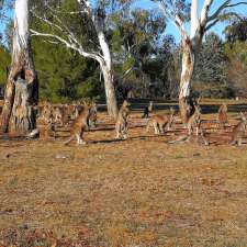 Burringiri Aboriginal and Torres Strait Islander Culture Centre | 245 Lady Denman Dr, CANBERRA CENTRAL ACT 2611, Australia