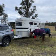 Haynes Equine Transport - Hunter Valley | 13 Rifle St, Clarence Town NSW 2321, Australia