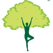 Fitness Cultivated Yoga | Fullarton SA 5063, 266 Glen Osmond Rd, Adelaide SA 5063, Australia