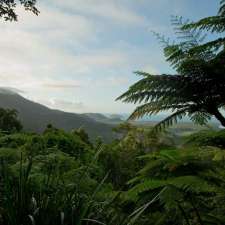 Floravilla Ice Cream Factory | 335 Cape Tribulation Rd, Cow Bay QLD 4873, Australia