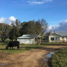 Lake River Farm | 442 Delmont Rd, Cressy TAS 7302, Australia