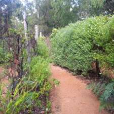 Boranup Forest Maze (open all public holidays, 5am-8pm) | 6 Maze Rd, Karridale WA 6288, Australia