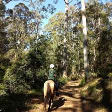 Free Indeed Hypnotherapy RTT Blue Mountains | 126 Ridgeway Cres, Sun Valley NSW 2777, Australia