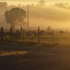 Taylor Made Pumps & Repairs | 36 Radcliffe Circuit, Carwoola NSW 2620, Australia