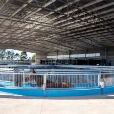 Aquagait Equine Centre | Training Centre, Menangle Rd, Menangle Park NSW 2563, Australia