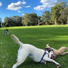 Sydney All Breeds Dog Training Club | Stanley St, Concord NSW 2137, Australia