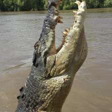 Spectacular Jumping Crocodile Cruise | Arnhem Hwy, Darwin NT 0836, Australia