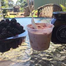 Denmark Berry Farm | 61 Lantzke Rd, Scotsdale WA 6333, Australia