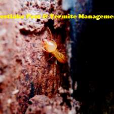 Westlake Pest & Termite Management | 260 Horizon Dr, Westlake QLD 4074, Australia