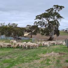 Paulson Farm | 537 Cookes Hill Rd, Springton SA 5235, Australia