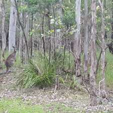 Bewong River Retreat | 2395 Princes Hwy, Bewong NSW 2540, Australia