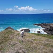 Limeburners Creek National Park | Point Plomer Rd, Limeburners Creek NSW 2444, Australia