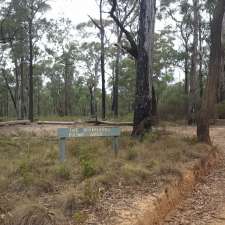 The Ironbarks Picnic Area | The Oaks Trail Glenbrook, Blue Mountains National Park NSW 2773, Australia