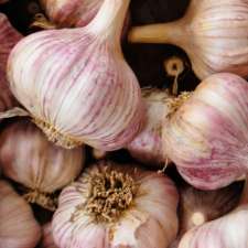 Franklin River Garlic | 200 Franklin River Rd, Toora VIC 3962, Australia