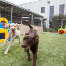 Abba Dog Boarding Kennels & Cattery | 59/61 Ordish Rd, Dandenong South VIC 3175, Australia