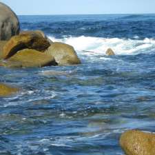 Seal haven | South Australia 5690, Australia