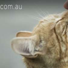 Catlovers Veterinary Clinic | 18 Overport Rd, Frankston South VIC 3199, Australia
