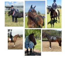 EVERIN PARK | 357 Ellsmore Rd, Exeter NSW 2579, Australia